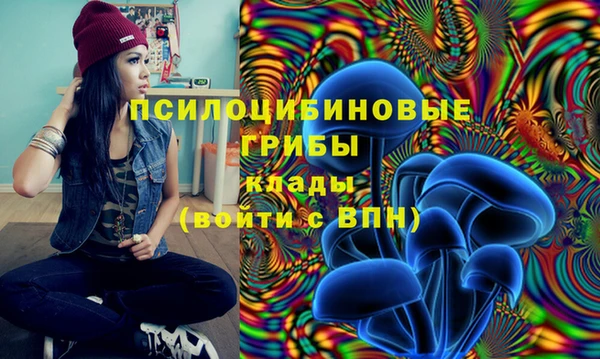 молекула духа Каменск-Шахтинский