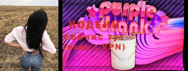 дживик Каменногорск