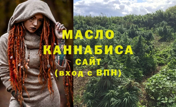 дживик Каменногорск
